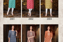 Banwery Fashion Kizie Heavy Reyon Kurti 2001 to 2006 Series (3)
