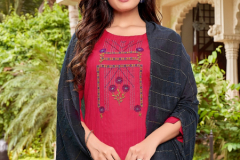 Banwery Pragati Viscose Kurti With Bottom & Dupatta Design 1001 to 1007 Series (1)