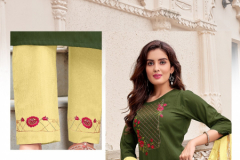 Banwery Pragati Viscose Kurti With Bottom & Dupatta Design 1001 to 1007 Series (15)