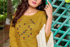 Banwery Pragati Viscose Kurti With Bottom & Dupatta Design 1001 to 1007 Series (18)