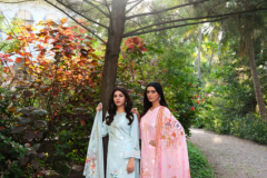 Belliza Designer Studio Senora Pure Jam Cottom Printed Salwar Suits Design 778-001 to 778-008 Series (1)