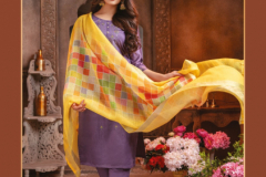 Benbaa Maharani Cotton Chanderi Silk With Thread Sequence Work 01 to 08 Series (5)
