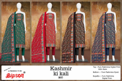 Bipson Kashmiri Ki Kali Woollen Pashmina Collection Design 0117A to 0117D Series (6)