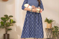 Blue Hills Happiness Capsule Printed Kurti Collection Design 1001 to 1009 Series (9)