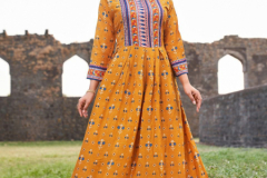 Blue Hills Paris Rayon Long Gown Kurti Style Collection Design 1001 to 1006 Series (4)