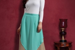 Chini Mini Skirt Rani Trendz 1001 to 1007 Series 7