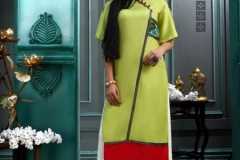 Cloud Aradhna Heavy Rayon Kurtis 12