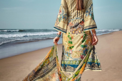 Deepsy Suits Rungrez Pure Pakistani Lawn Cotton Salwar Suits Collection Design 14201 to 14206 Series (7)