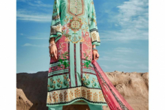 Deepsy Suits Rungrez Pure Pakistani Lawn Cotton Salwar Suits Collection Design 14201 to 14206 Series (9)