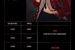 Deepsy Suits Rungrez Velvet Salwar Suit 12401 to 12406 Series (10)