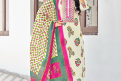 Diya Trends Odhani Vol 6 Straight Kurti With Pant & Dupatta Collection Design 6001 to 6010 Series (3)