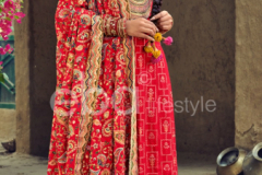 Eba Lifestyle Karwa Chouth Special Satrangi Colours Salwar Suit Design 1207 to 12010 Series (6)