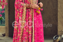 Eba Lifestyle Karwa Chouth Special Satrangi Colours Salwar Suit Design 1207 to 12010 Series (9)