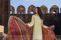 Fepic Rosemeen Zc Chikankaari Georgette Pakistani Suits Design 46012 to 46015 Series (1)