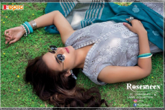 Fepic Rosemeen ZC Chikankari Lawn Collection Design 46008 to 46011 Series (11)