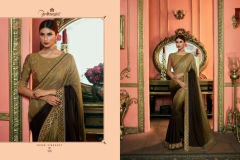 Fiona Saree Ardhangini Vol 2 111 to 119 Series (12