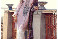 Firdous Art Al Zohaib Jam Cotton Printed Pakistani Suit Design 81001-81006 Series (1)