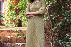 Four Bottons Raabta Pure Cotton Kurti With Bottom Collection Design FB111 to FB116 Series (10)