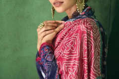 Gramo Bandhej Velvet Salwar Suit Design 441 to 444 Series (1)