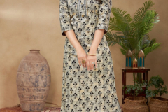 Jay Jalaram Enterprise Ananta Vol Cotton Kurti With Pant Collection Design 1001 to 1010 Series (9)