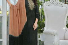 Kadlee Mittoo Glamour Vol 02 Rayon Weaving Kurti With Bottom & Dupatta Collection Design 1007 to 1012 Series (2)