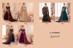 Kashmiri Real Georgette Aashirwad Suits 10