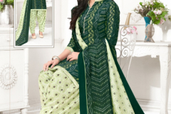 Kaval Fab Alija Patiyala Heavy Cotton Print Salwar Suit Collection Design 1001 to 1006 Series (6)