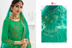 Kesari Trendz Baani Vol 01 Heavy Georgette Design 6009 to 6014 5