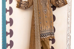 Keval Fab Alija.B Vol 23 Luxury Heavy Cotton Pakistani Salwar Suits Collection Design 23001 to 23006 Series (9)