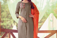 Kiana Kashida Cotton Kurti With Bottom & Dupatta Collection Design 3001 to 3006 Series (10)