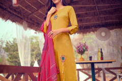 Kiana Kashida Cotton Kurti With Bottom & Dupatta Collection Design 3001 to 3006 Series (2)