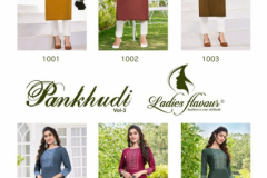 Ladies Flavour Pankhudi Vol 3 Viscose Kurti Collection Design 1001 to 1006 Series (3)