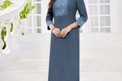 Ladies Flavour Pankhudi Vol 3 Viscose Kurti Collection Design 1001 to 1006 Series (5)