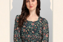 Ladyview Gorgeous Geogette Printed Tops Collection Design 258 to 261 Series (1)