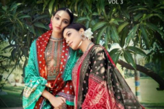 Levisha Panihari Vol 03 Puree Jam Cotton Embroidery With Patola Dupatta 6913 to 6920 Series (1)