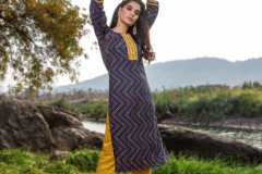Mayree India Breezy Rayon With Hand Work Kurti Collection Design 001 to 010 Series (12)