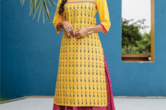 Mayree India Harmony Festival Kurti With Bottom Design 101 to 106 Series (1)