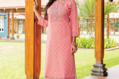 Mayree India Harmony Festival Kurti With Bottom Design 101 to 106 Series (5)