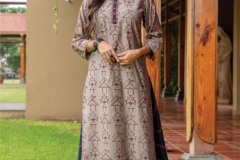 Mayree India Harmony Festival Kurti With Bottom Design 101 to 106 Series (6)