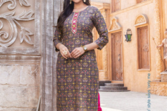 Mayrie India Fashion Blush Pure Capsule Printed Kurti Collection Deisgn 101 to 110 Series (3)