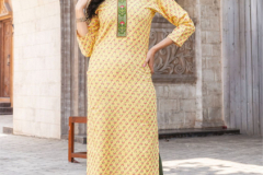 Mayrie India Fashion Blush Pure Capsule Printed Kurti Collection Deisgn 101 to 110 Series (9)