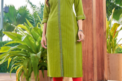 Mittoo Priyal Vol 11 Handloom Weaving Cotton Straight Kurti Collection Design 2079 to 2084 Series (6)