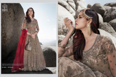 Mohini Fashion Glamour Vol 83 Premium Collection Design 83001 to 83005 15