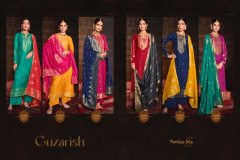 Mumtaz Arts Guzarish Dola Jaquard Festival Salwar Suits Collection Design 3001 to 3006 Series (14)