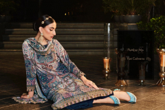 Mumtaz Arts Kani Cashmere Velevt Salwar Suits Collection Design 6001 to 6006 Series (4)