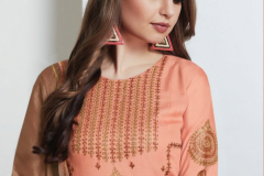 Neha Fashion Netra Silk Chiffon Suits Design N-1007 to 1013 1