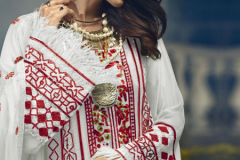 Pakistani Design Noor 108 Hit Colors Georgette Suits (2)