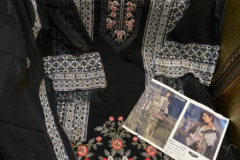 Pakistani Design Noor 108 Hit Colors Georgette Suits (6)