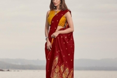 Pari Saree Lt Fabric 66001 to 66005 Series 5