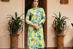 Passion Tree Lifestyle Vol 01 A Line Rayon Prinr Kurti Collection Design 1001 to 1006 Series (2)